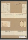 Pseudoeunotia doliolus (Wall.) Grun. (de-Toni-Nr.: Genus 105, Species 3249) Zeichnungen Sammlung Grunow Nr. 6652 (NHMW-BOT-W0375432)
